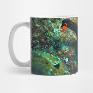 Nembrotha kubaryana nudibranch Mug